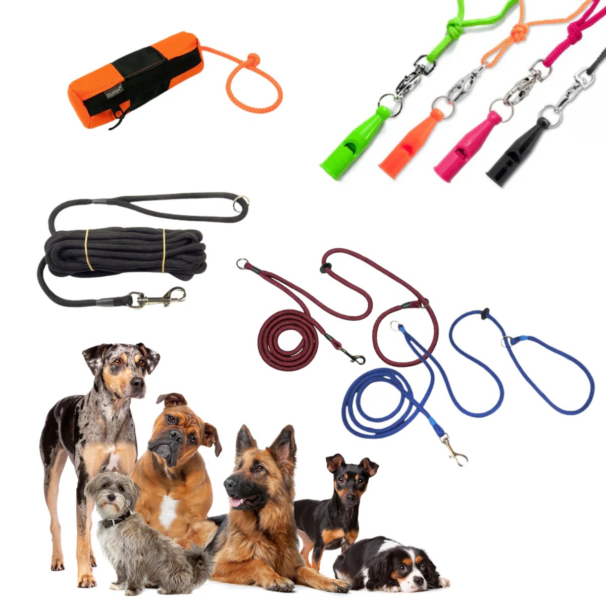 Dog Deer Tracking Equipment